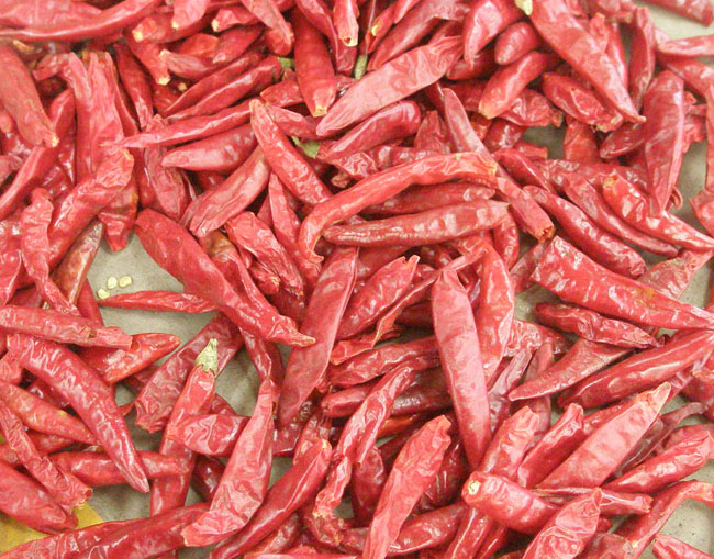 dried chili